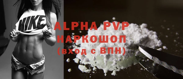 гашик Кулебаки