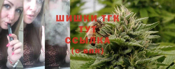 гашик Кулебаки