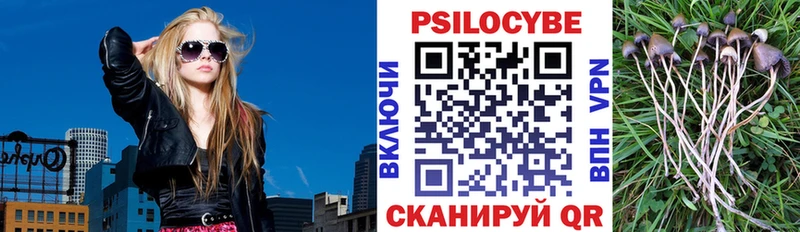 Псилоцибиновые грибы мицелий  купить наркоту  Ессентукская 